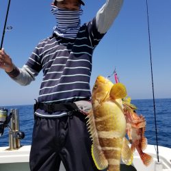 アマテラス 釣果