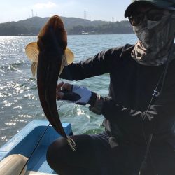 アマテラス 釣果