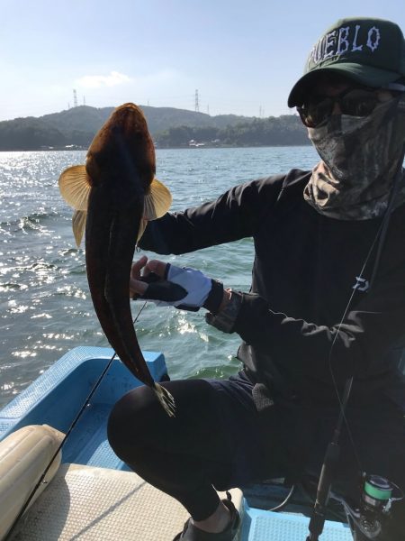 アマテラス 釣果