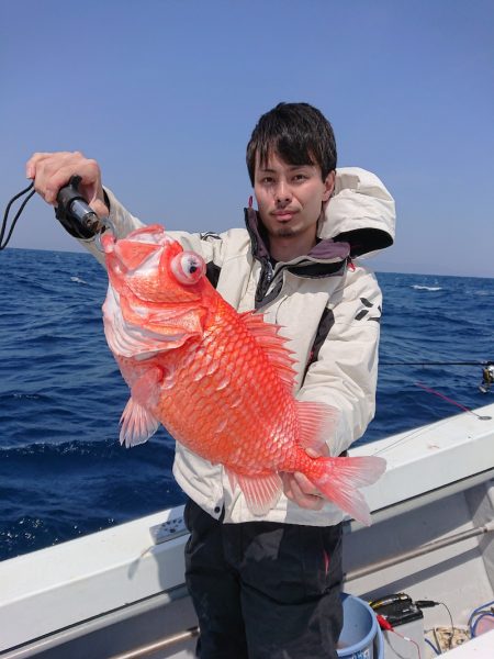 エンペラー 釣果