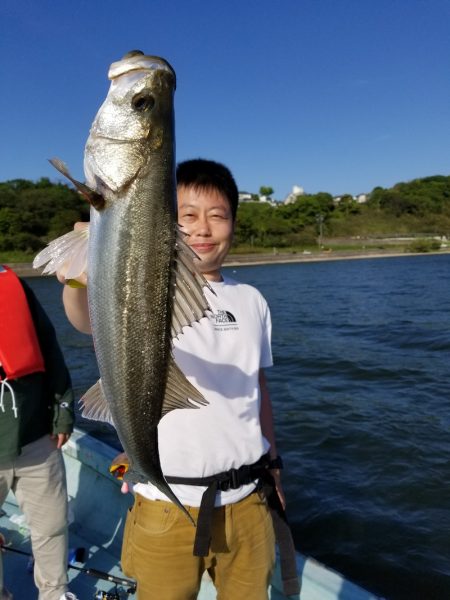 アマテラス 釣果