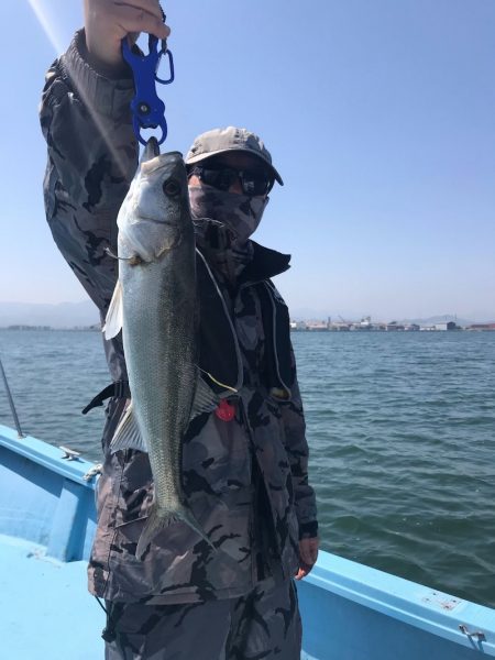 アマテラス 釣果