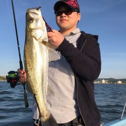 アマテラス 釣果