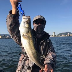 アマテラス 釣果