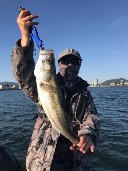 アマテラス 釣果