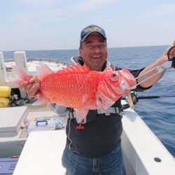 エンペラー 釣果