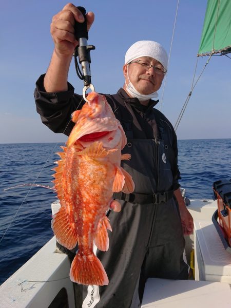 エンペラー 釣果