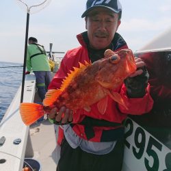 エンペラー 釣果