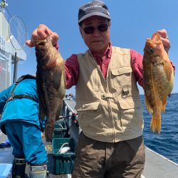 シーランチ 釣果