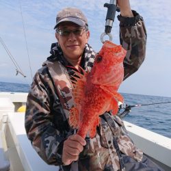 エンペラー 釣果