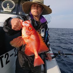 エンペラー 釣果