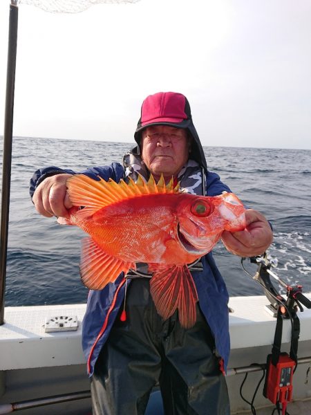 エンペラー 釣果