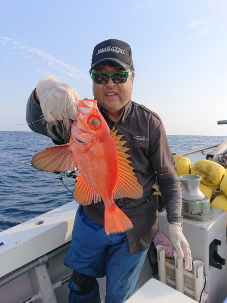 エンペラー 釣果