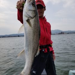 アマテラス 釣果