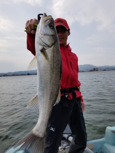 アマテラス 釣果