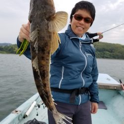 アマテラス 釣果