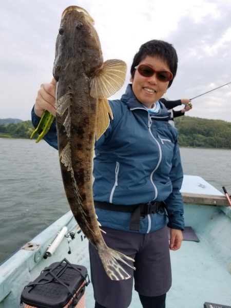 アマテラス 釣果