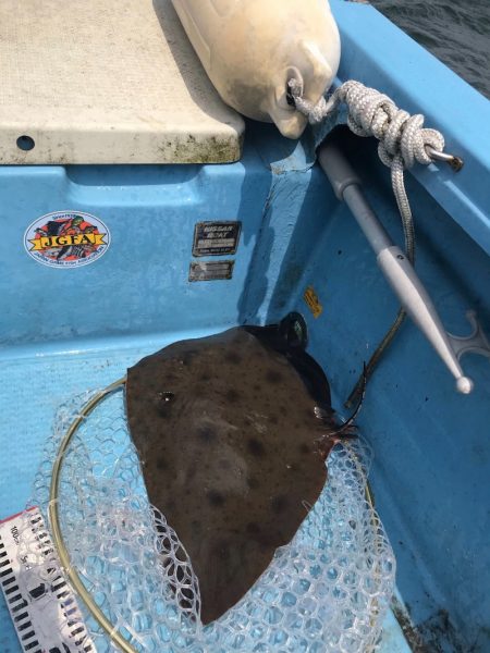 アマテラス 釣果