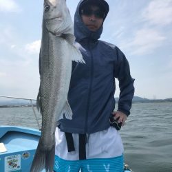 アマテラス 釣果