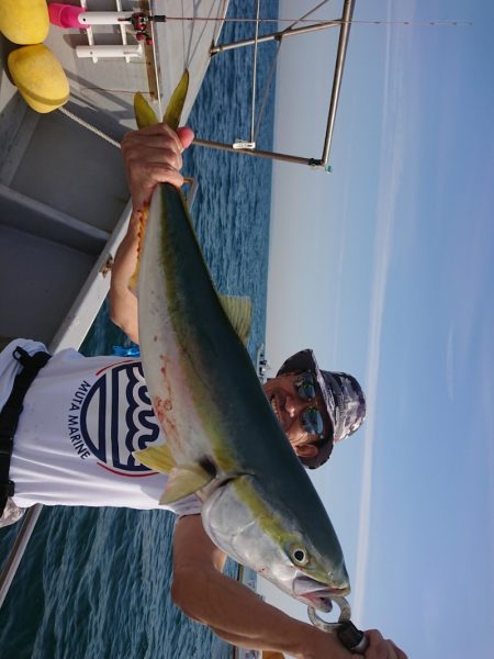 ありもと丸 釣果