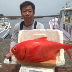 晃山丸 釣果