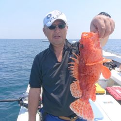 エンペラー 釣果