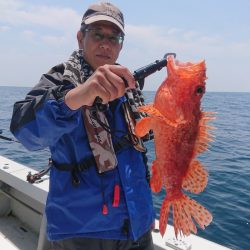 エンペラー 釣果