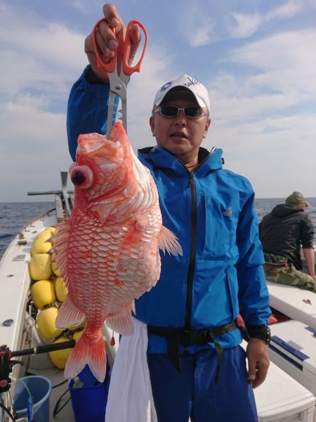 エンペラー 釣果