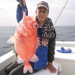 エンペラー 釣果