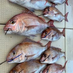 大雄丸 釣果