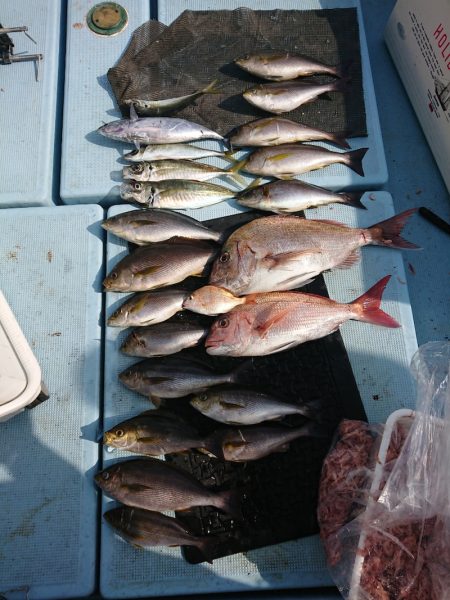 清和丸 釣果