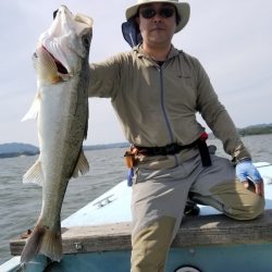 アマテラス 釣果