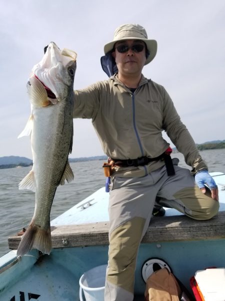 アマテラス 釣果