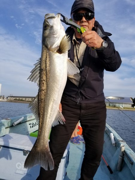 アマテラス 釣果