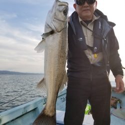 アマテラス 釣果