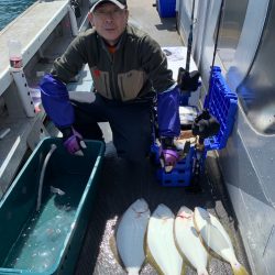 シーランチ 釣果