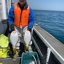 シーランチ 釣果