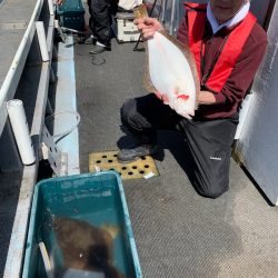 シーランチ 釣果