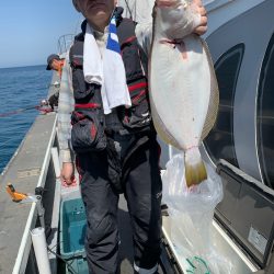 シーランチ 釣果