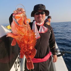 エンペラー 釣果