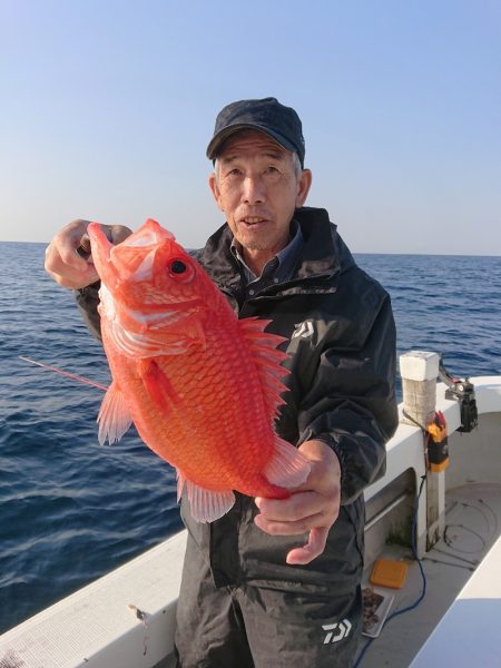 エンペラー 釣果