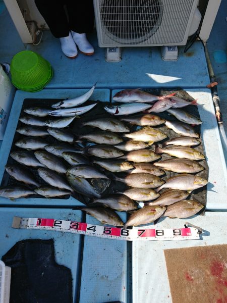 清和丸 釣果