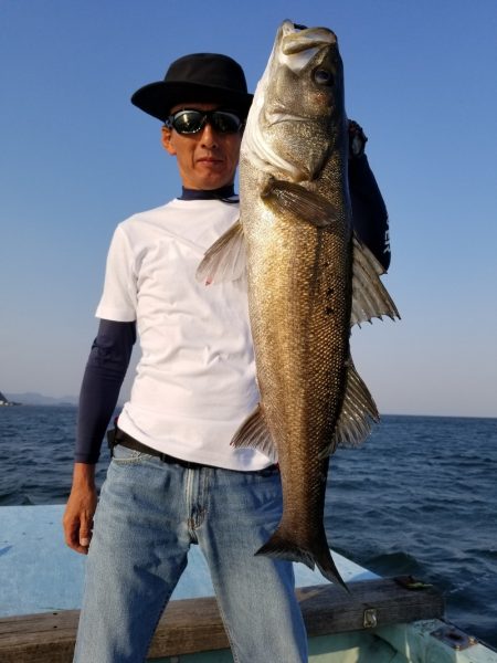 アマテラス 釣果