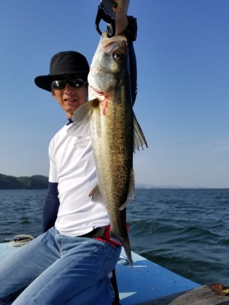 アマテラス 釣果