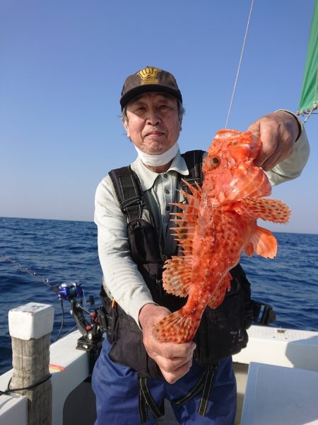 エンペラー 釣果