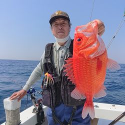 エンペラー 釣果