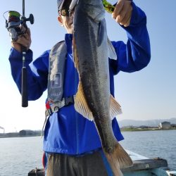 アマテラス 釣果