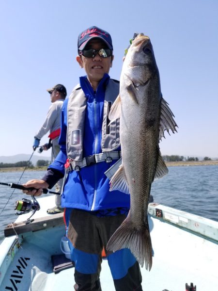 アマテラス 釣果