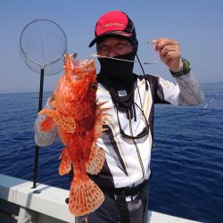 エンペラー 釣果