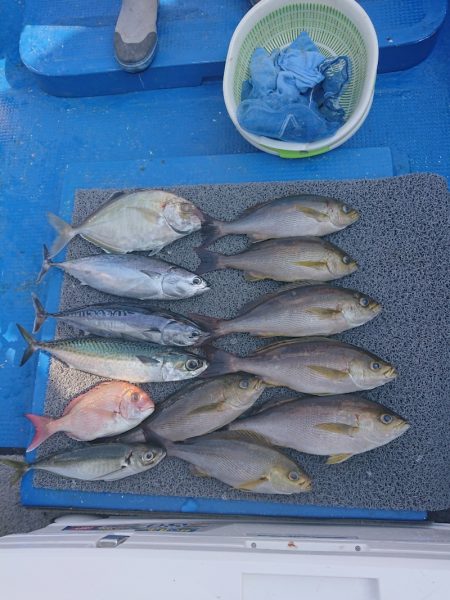 清和丸 釣果
